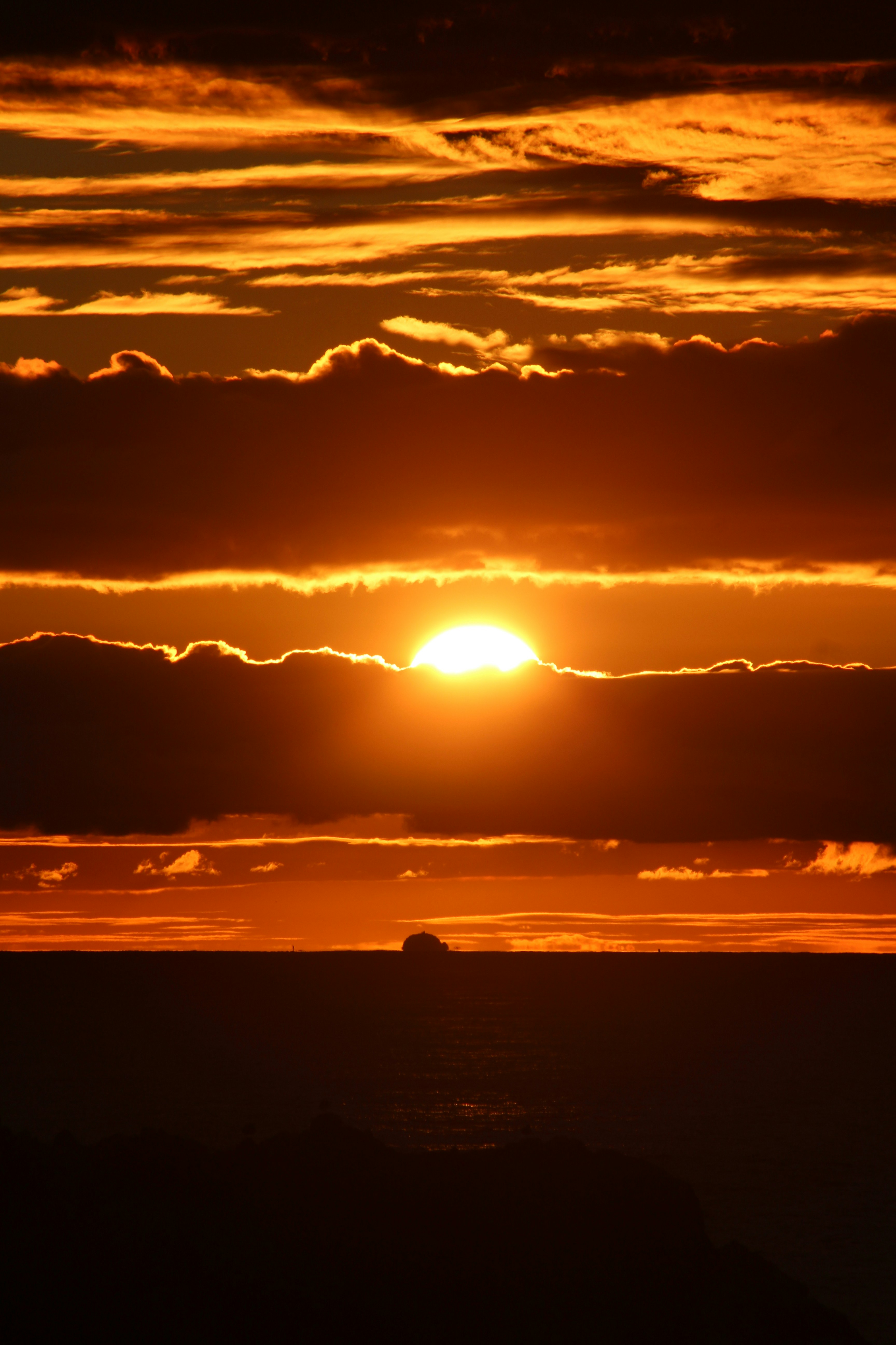 Photo by fogcityfish