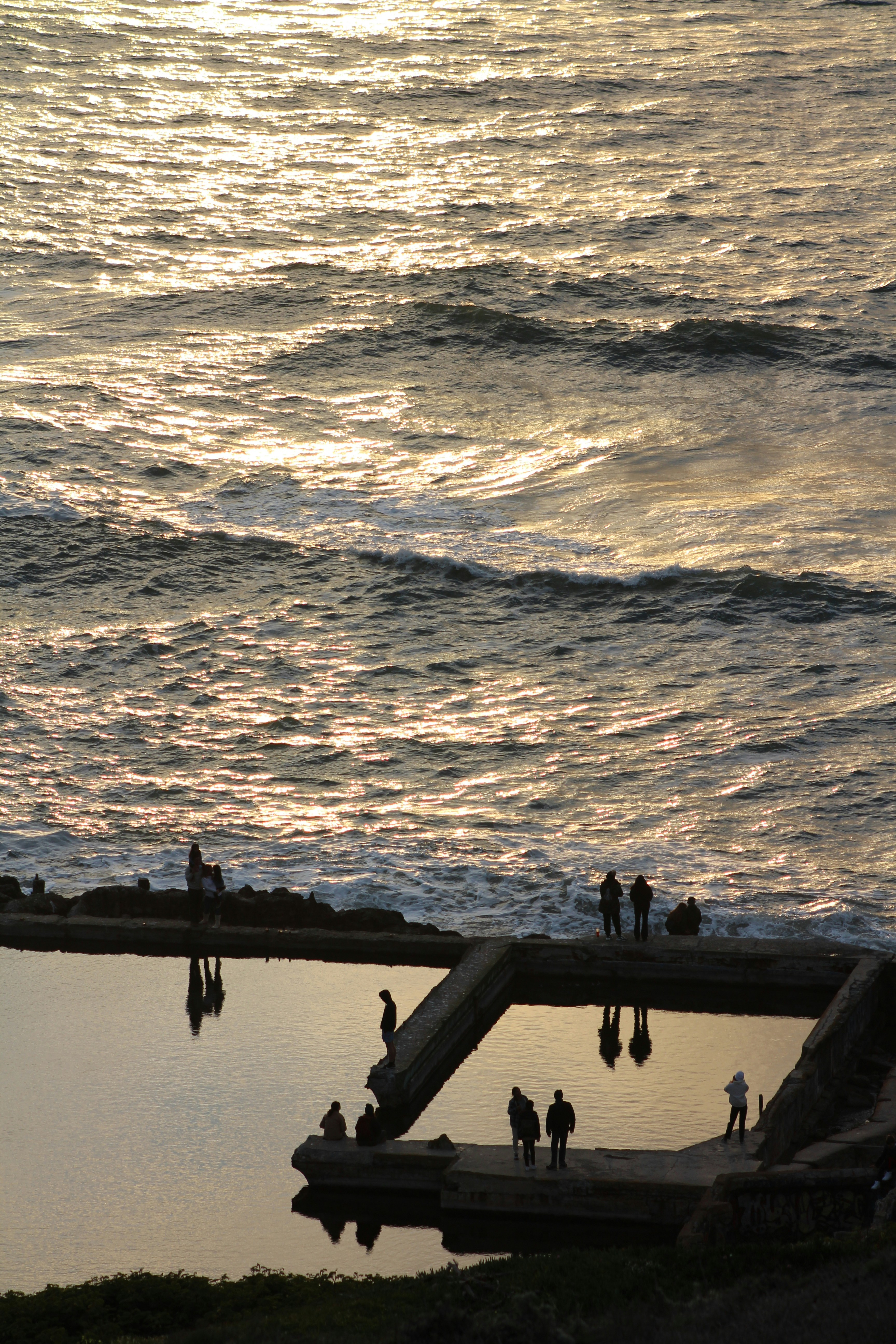 Photo by fogcityfish