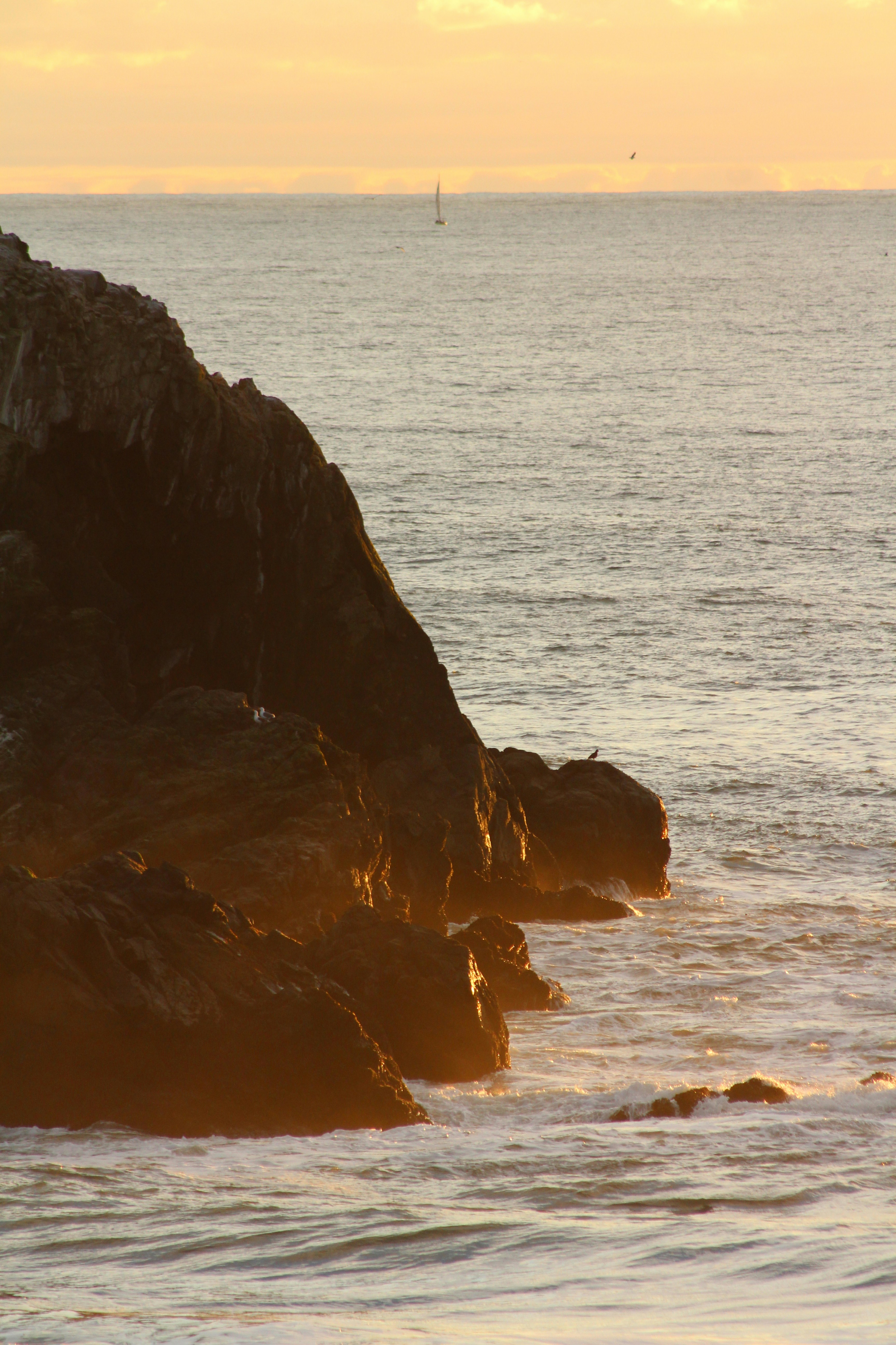 Photo by fogcityfish