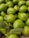 A collection of fresh green guavas piled together, with a couple of leaves interspersed among the fruits. The guavas have a smooth texture and a vibrant green color, indicating ripeness.