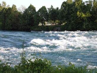 A vibrant river flows swiftly, with waves creating whitecaps as they move downstream. Dense green trees line the banks, providing a lush backdrop. In the distance, a couple of people stand on the riverside, possibly looking at the scenery.