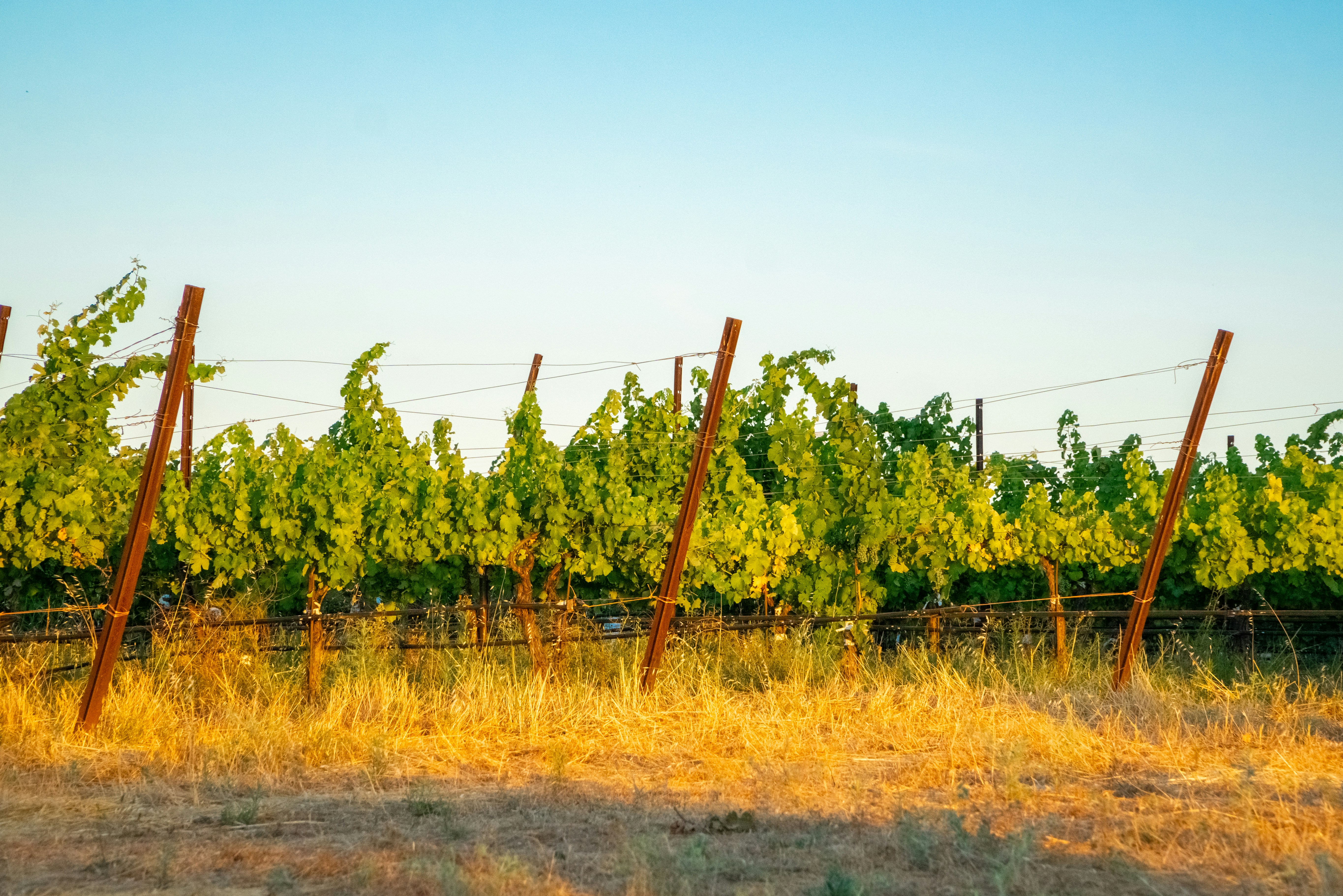 Photo by spencer_demera