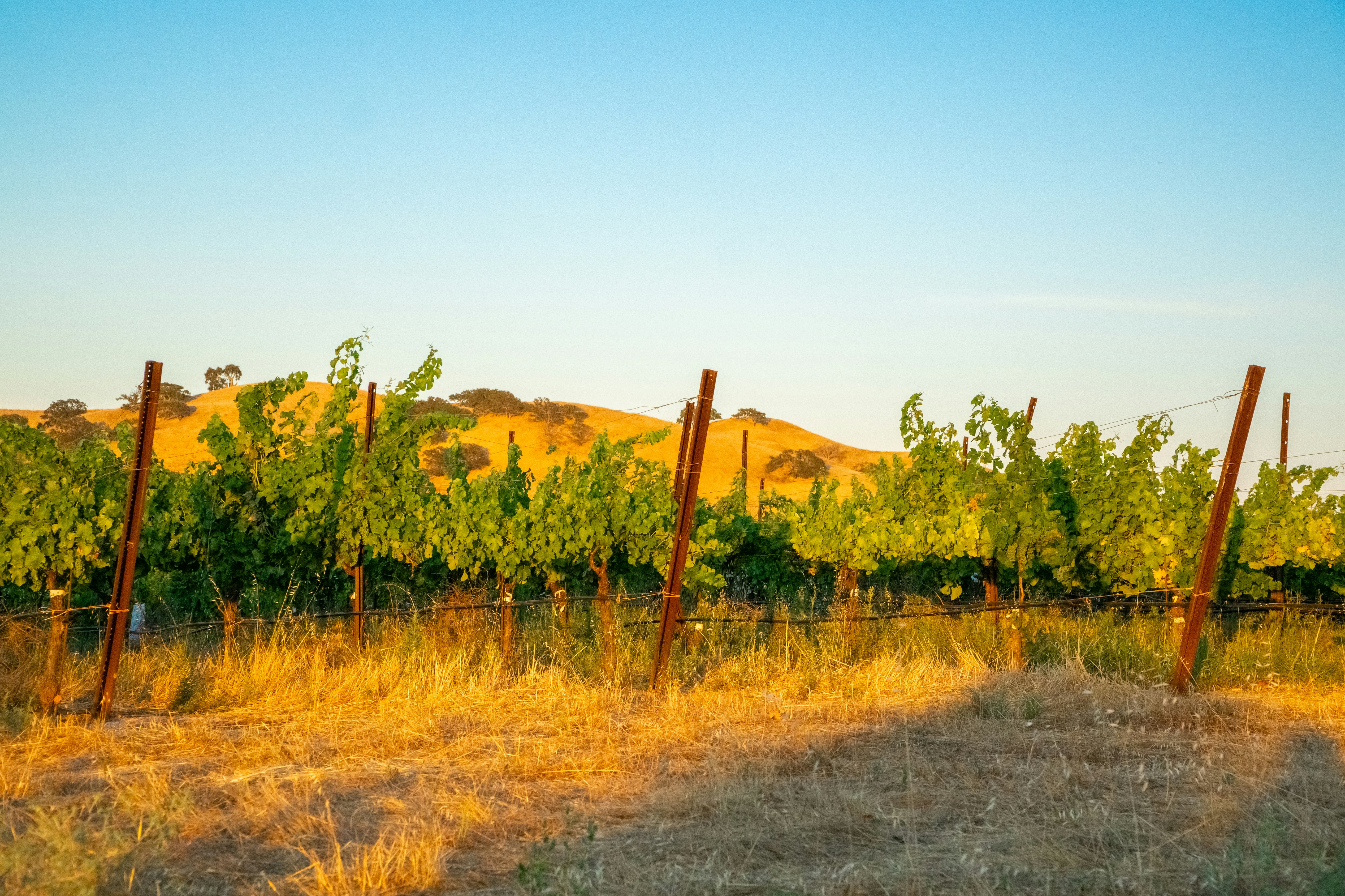 Photo by spencer_demera