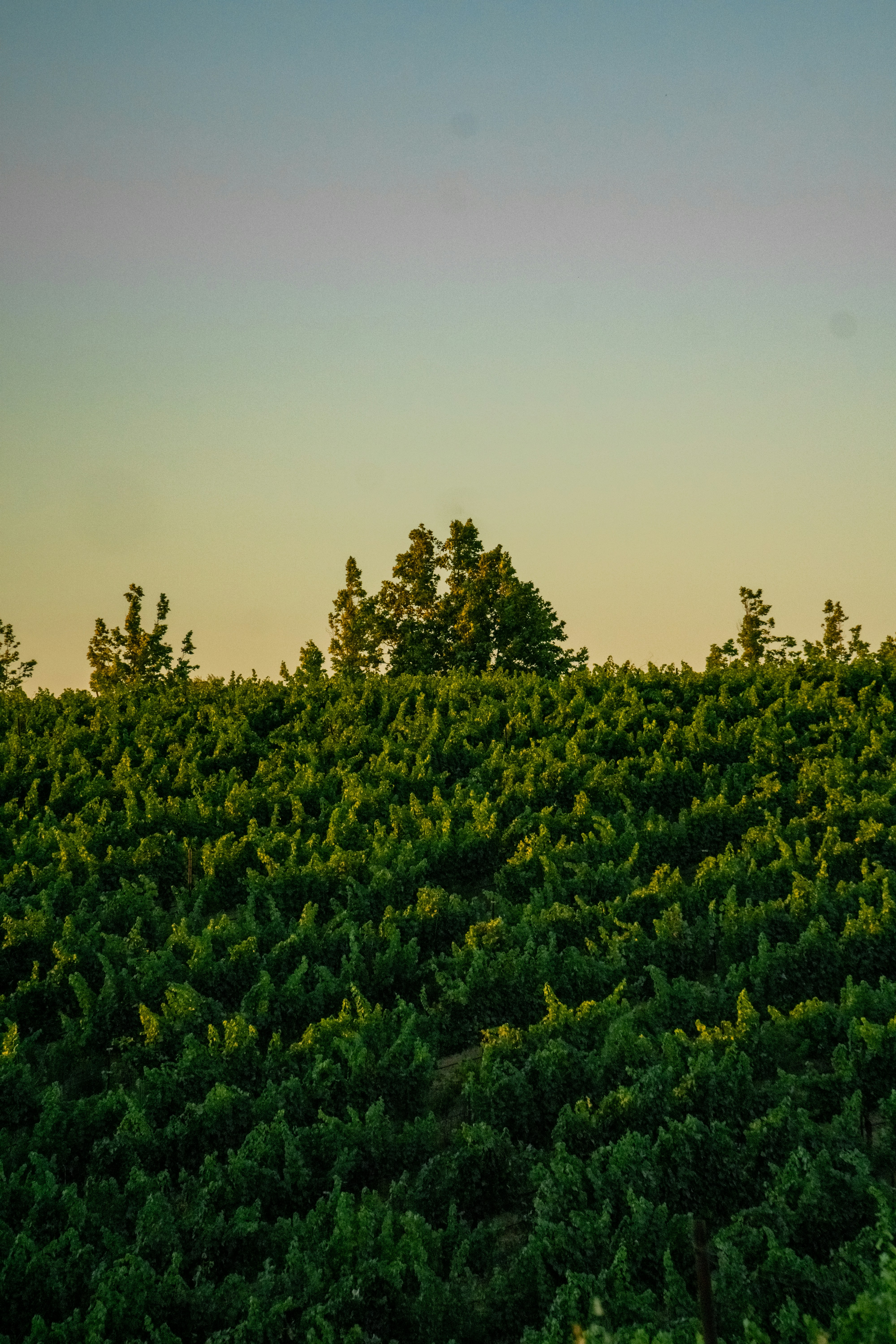 Photo by spencer_demera