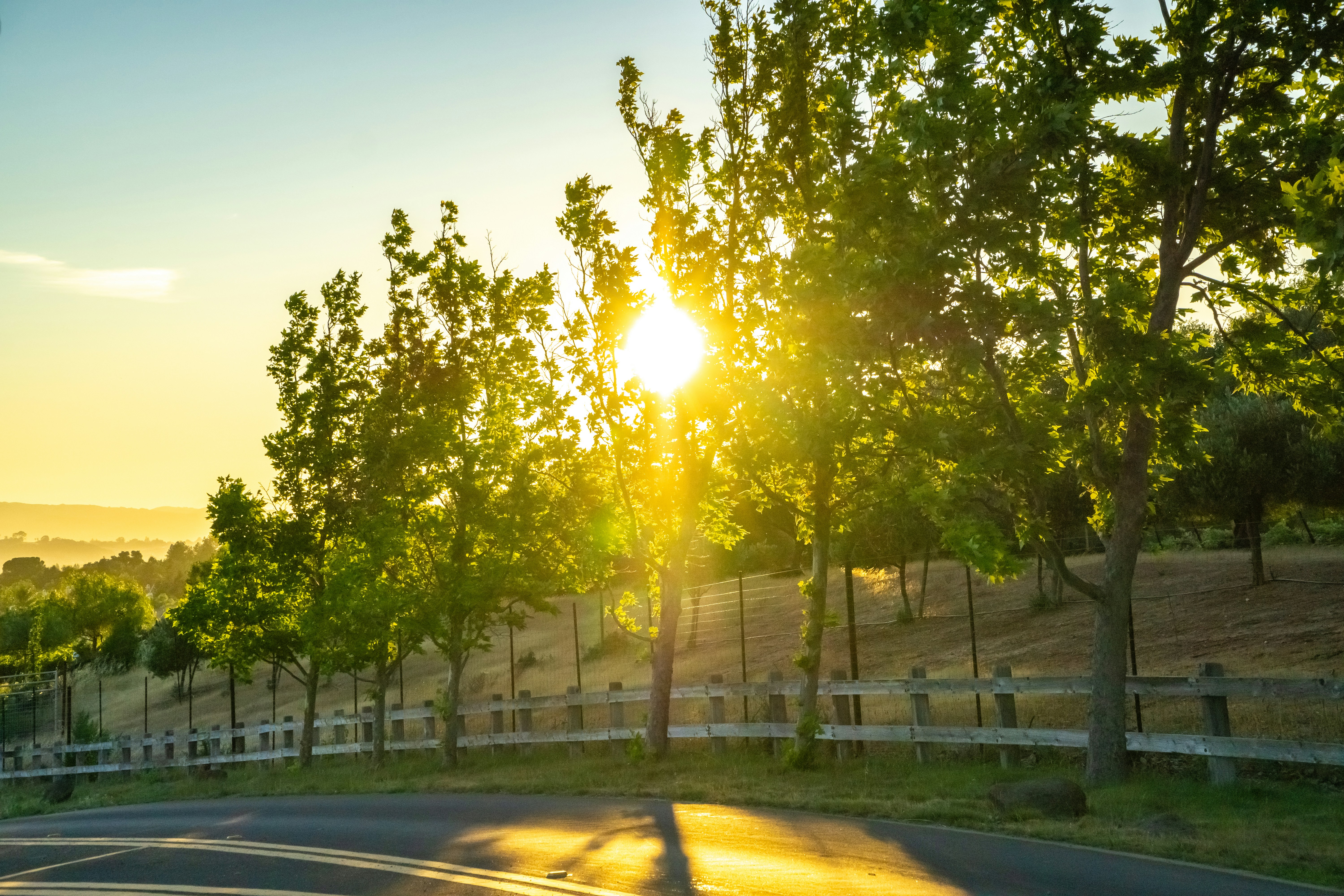 Photo by spencer_demera