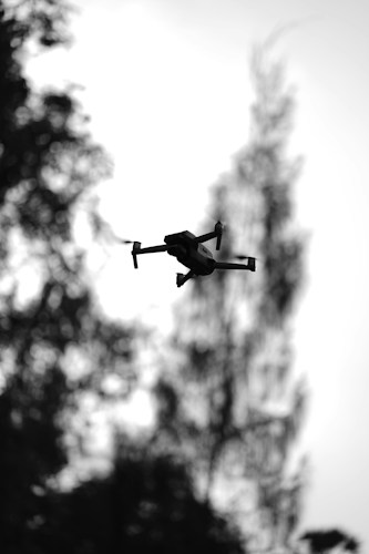 A silhouette of a drone flying against a backdrop of trees in a blurred out natural setting. The image is in black and white, emphasizing contrasts and shapes.
