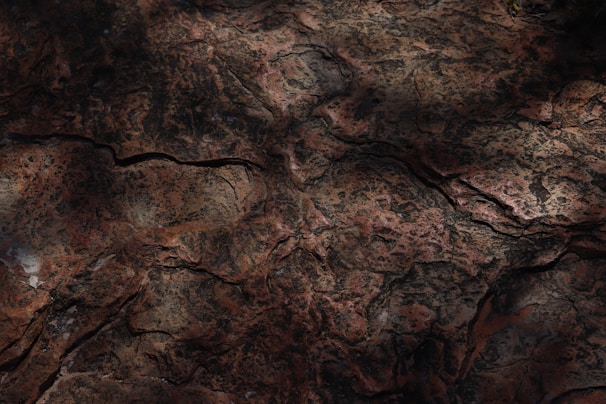 A textured surface with a mix of dark brown, reddish, and black tones. The surface appears rough and uneven with a variety of cracks and crevices, suggesting a natural formation such as rock or earth.