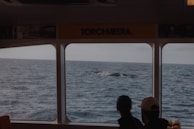 A group of excited tourists on a boat watching whales.