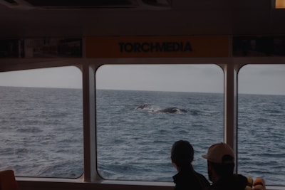 Two people are looking out of a boat window at the ocean where a whale is surfacing. The scene captures a moment of whale watching with the sea stretching out to the horizon under a cloudy sky.