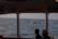 A group of excited tourists on a boat, watching whales in the distance.