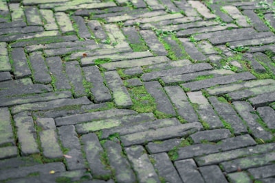 Weathered brick path covered with patches of green moss. The bricks are arranged in a herringbone pattern, creating a rugged and natural appearance. Small plants and grass are growing in between the bricks.