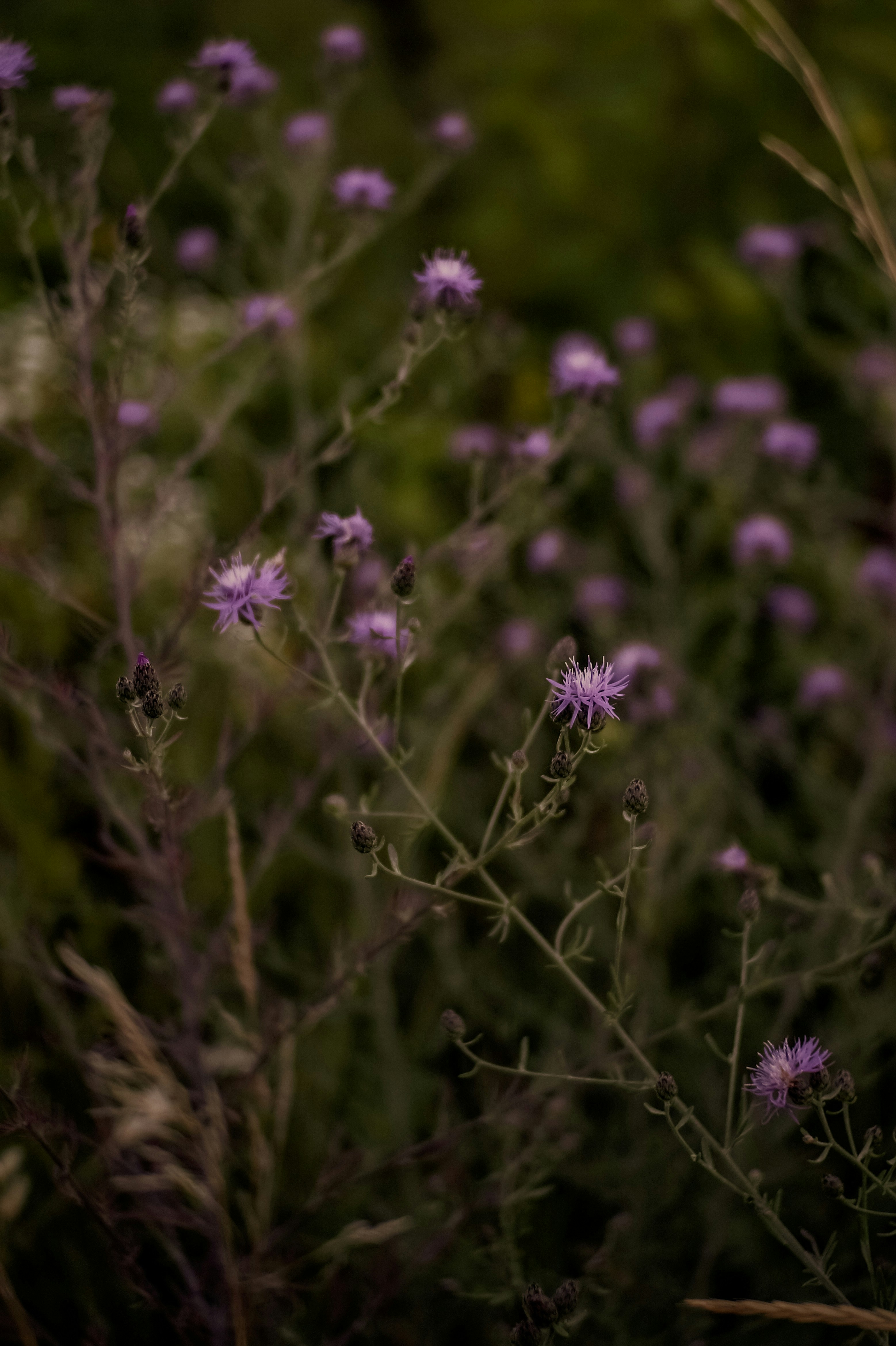 Photo by valentine_ivanova