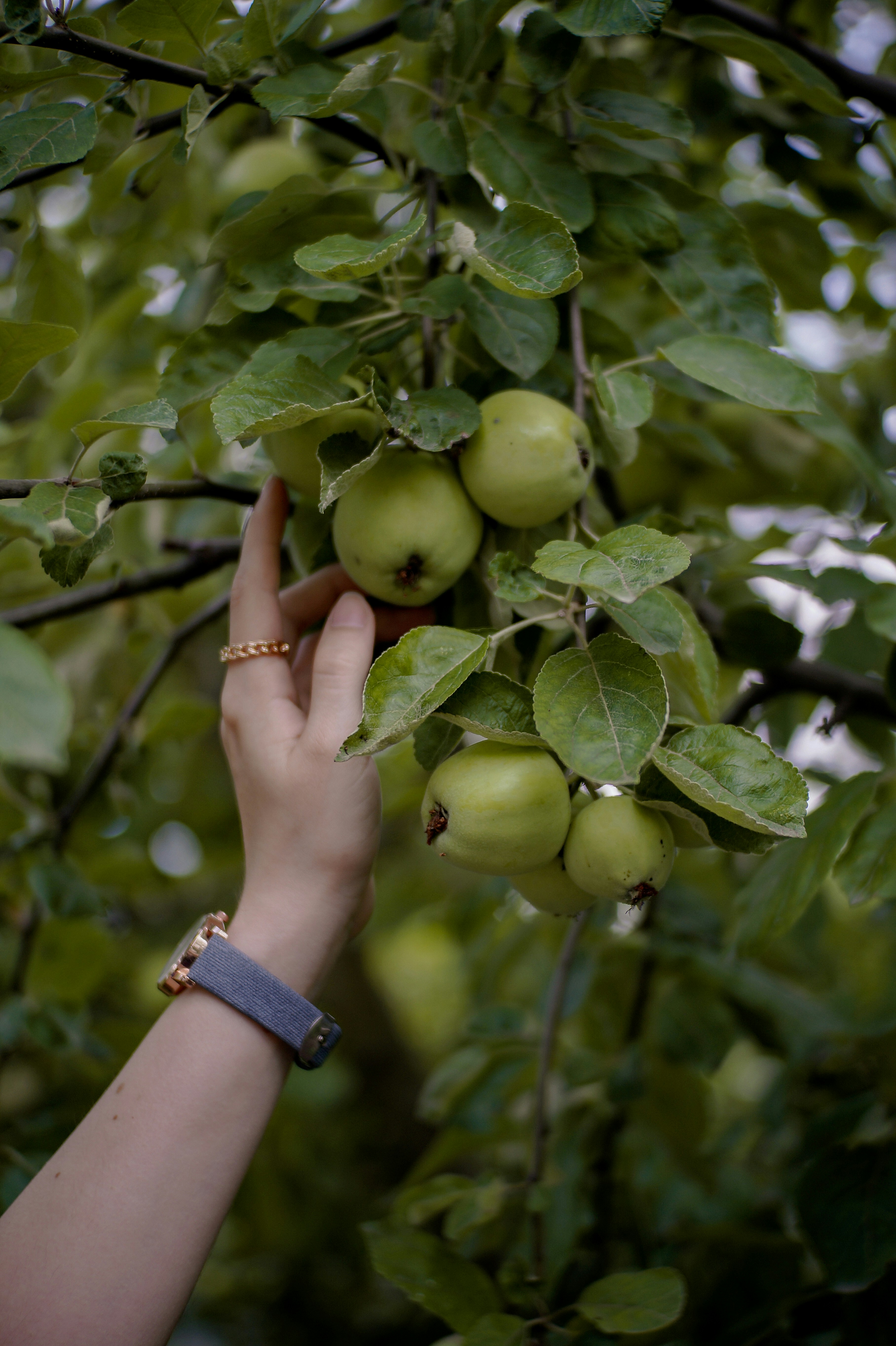 Photo by valentine_ivanova