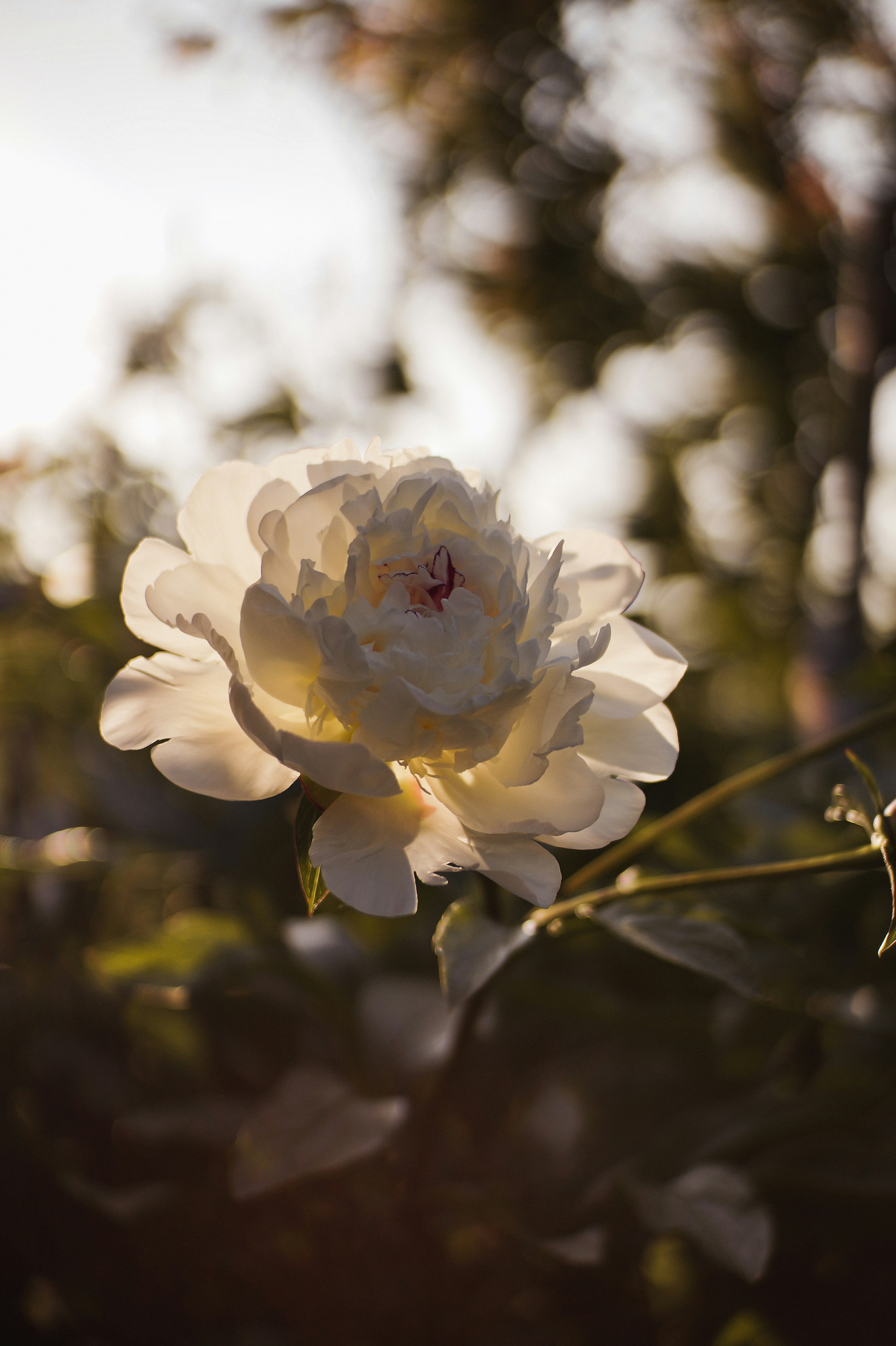 Photo by valentine_ivanova