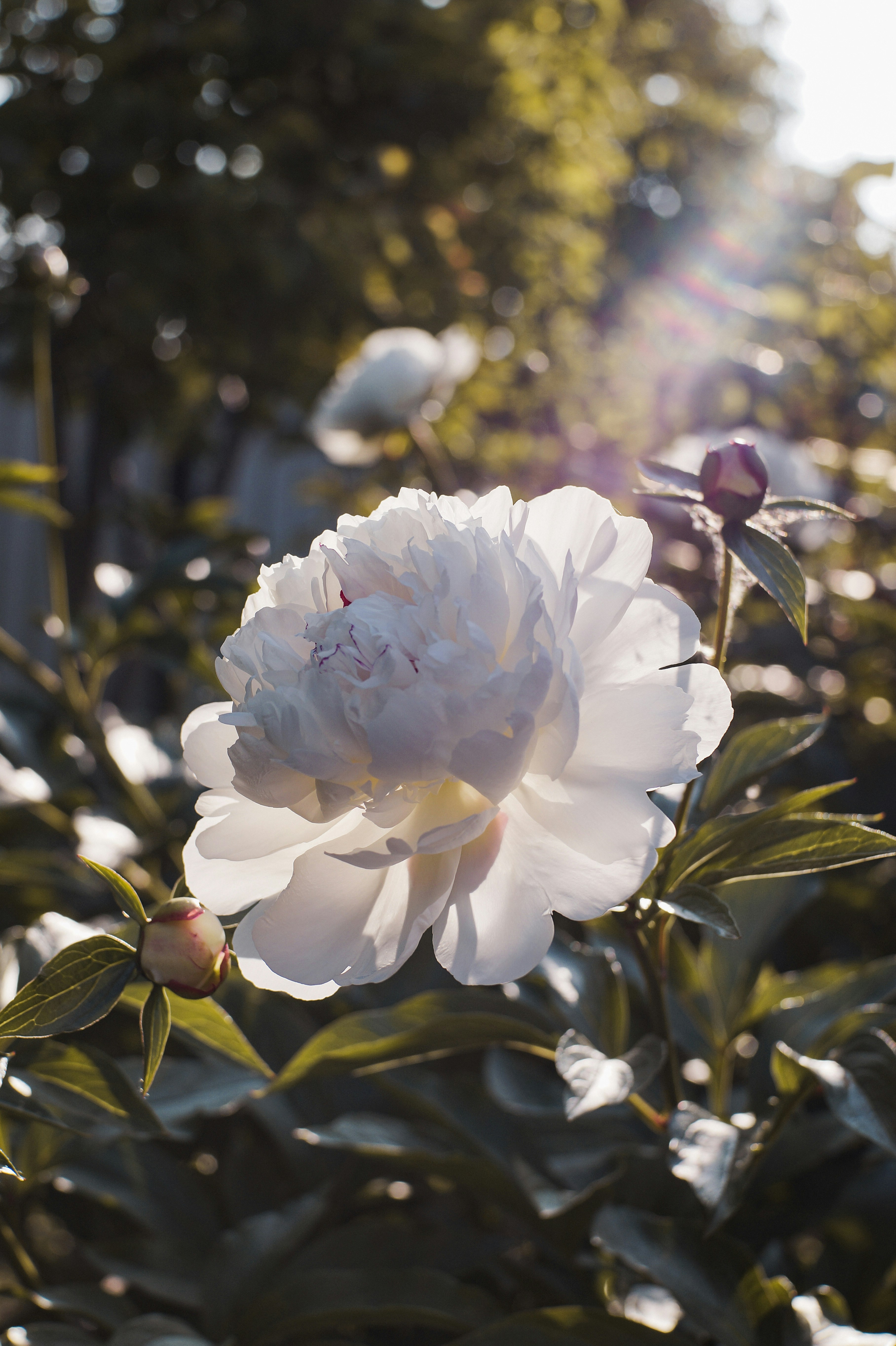 Photo by valentine_ivanova