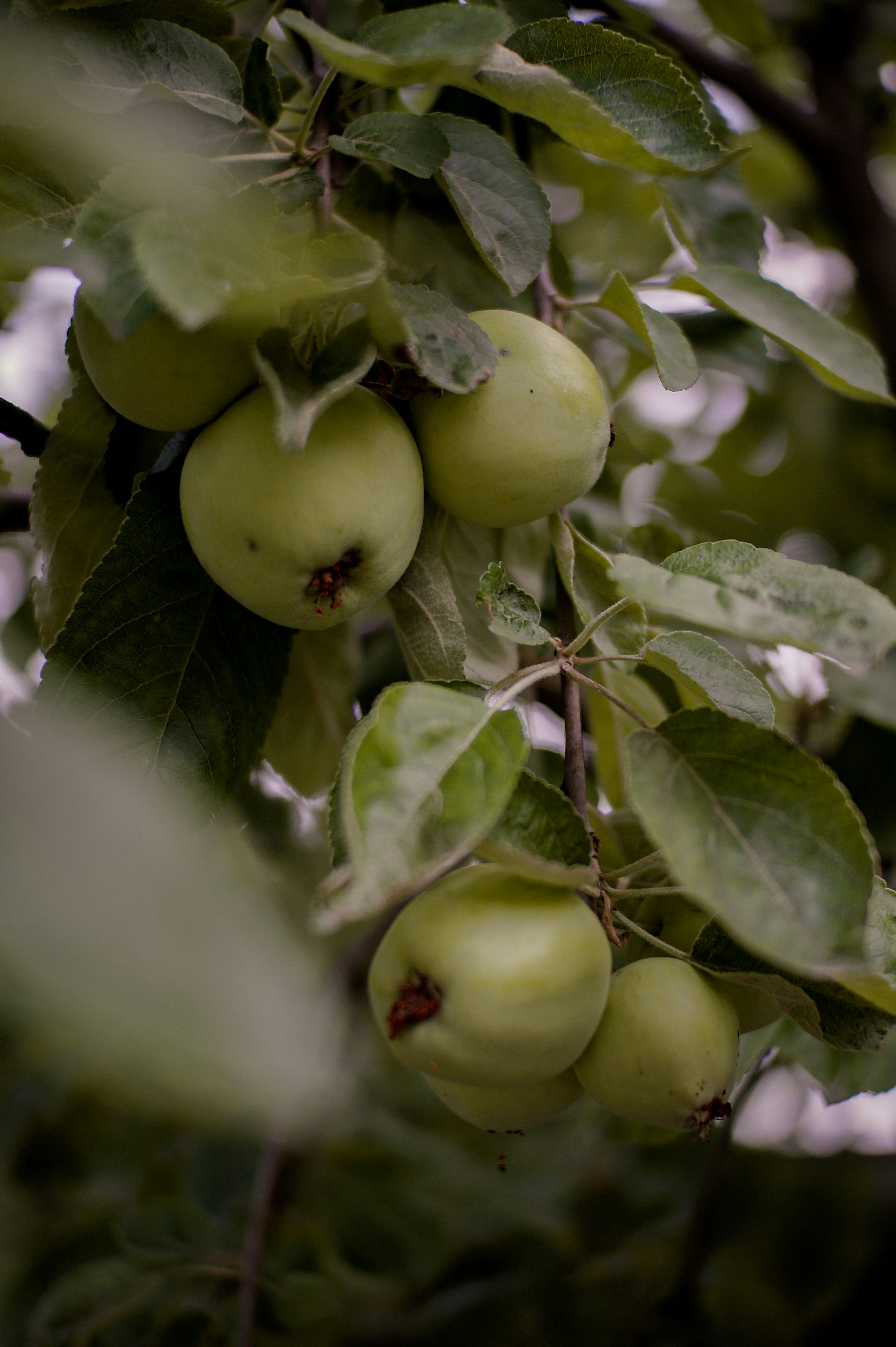 Photo by valentine_ivanova