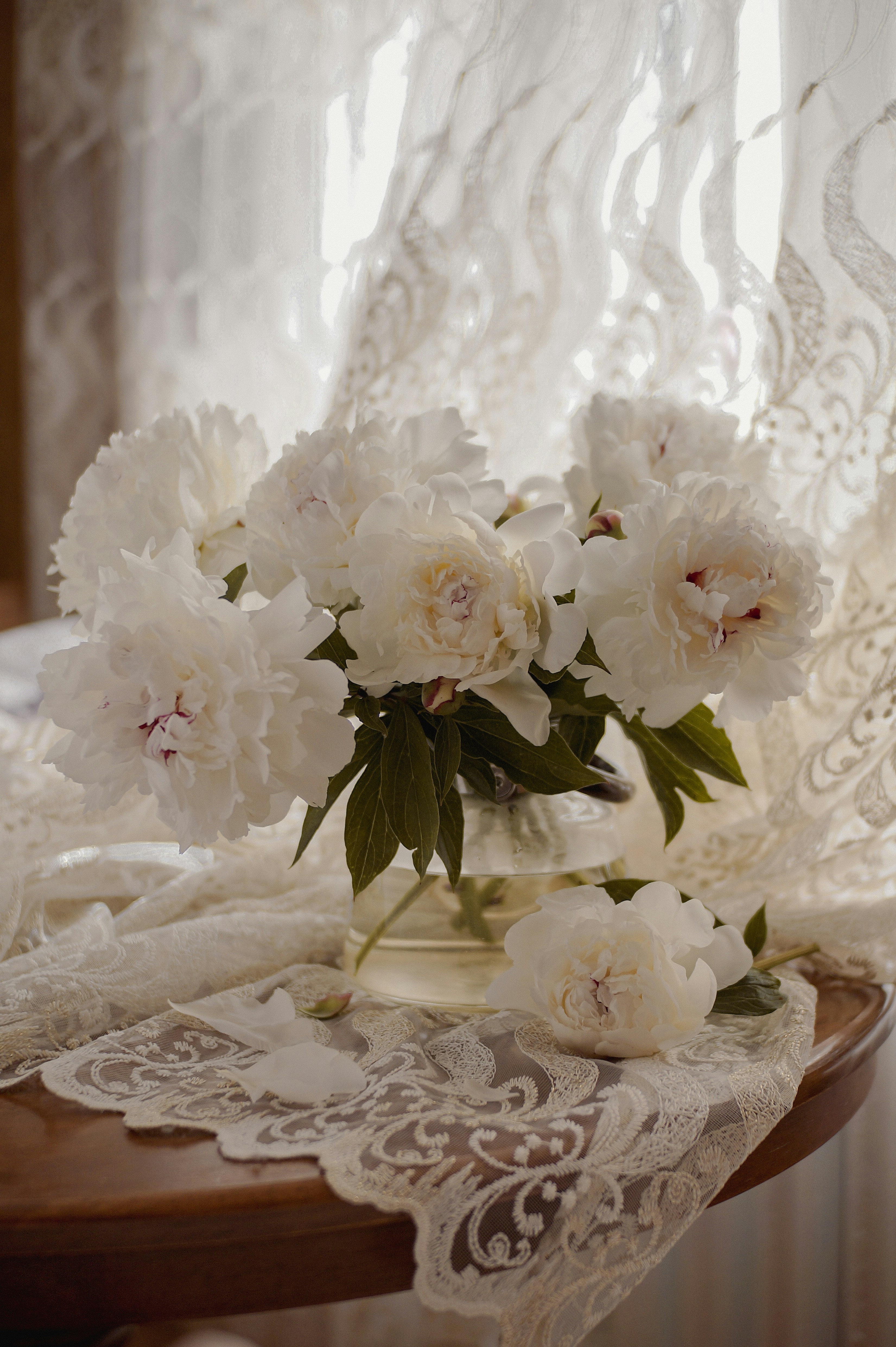 A vase filled with white flowers on top of a table photo – Free Bloom ...