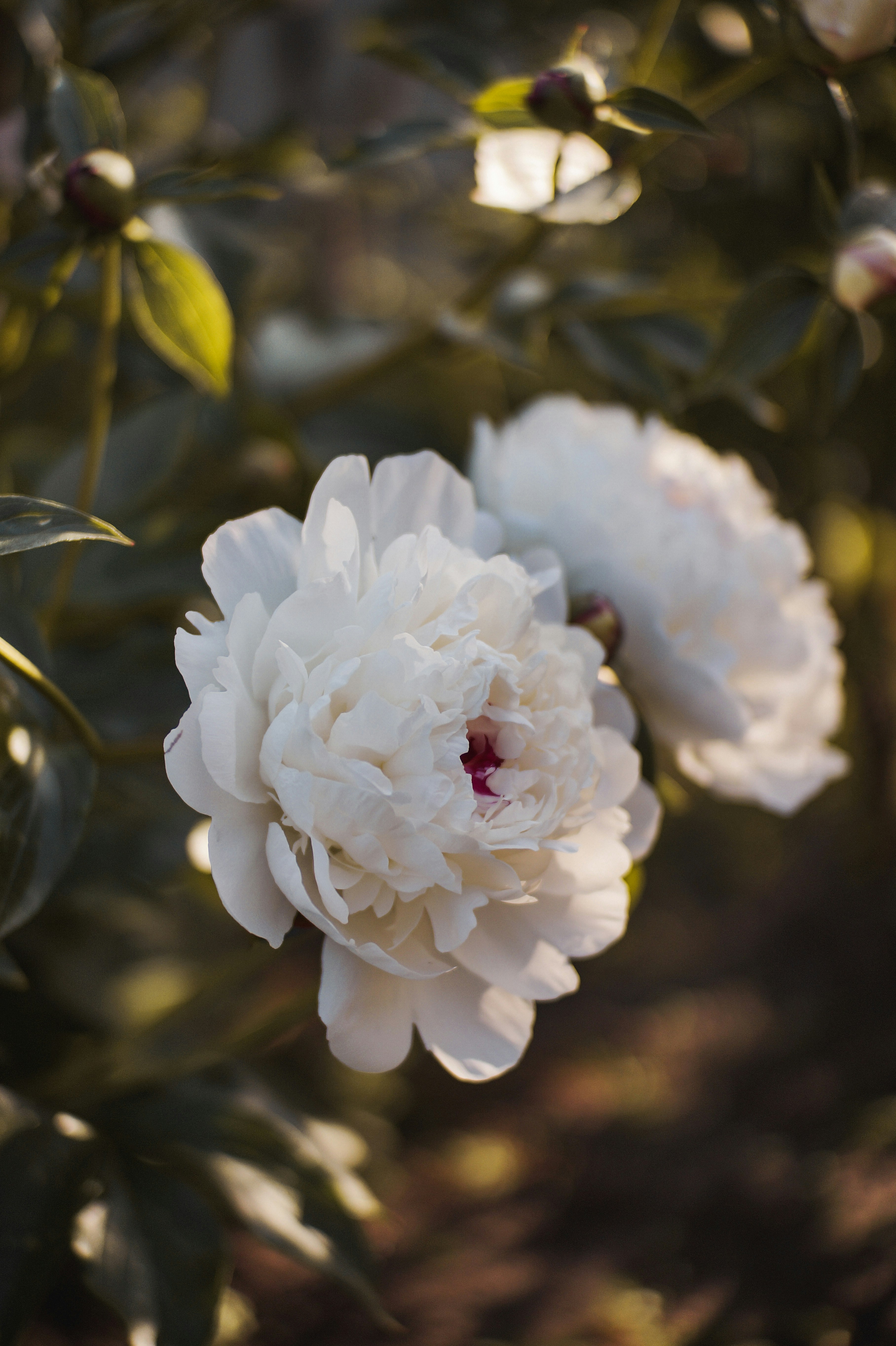 Photo by valentine_ivanova