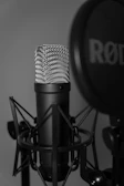 a black and white photo of a microphone