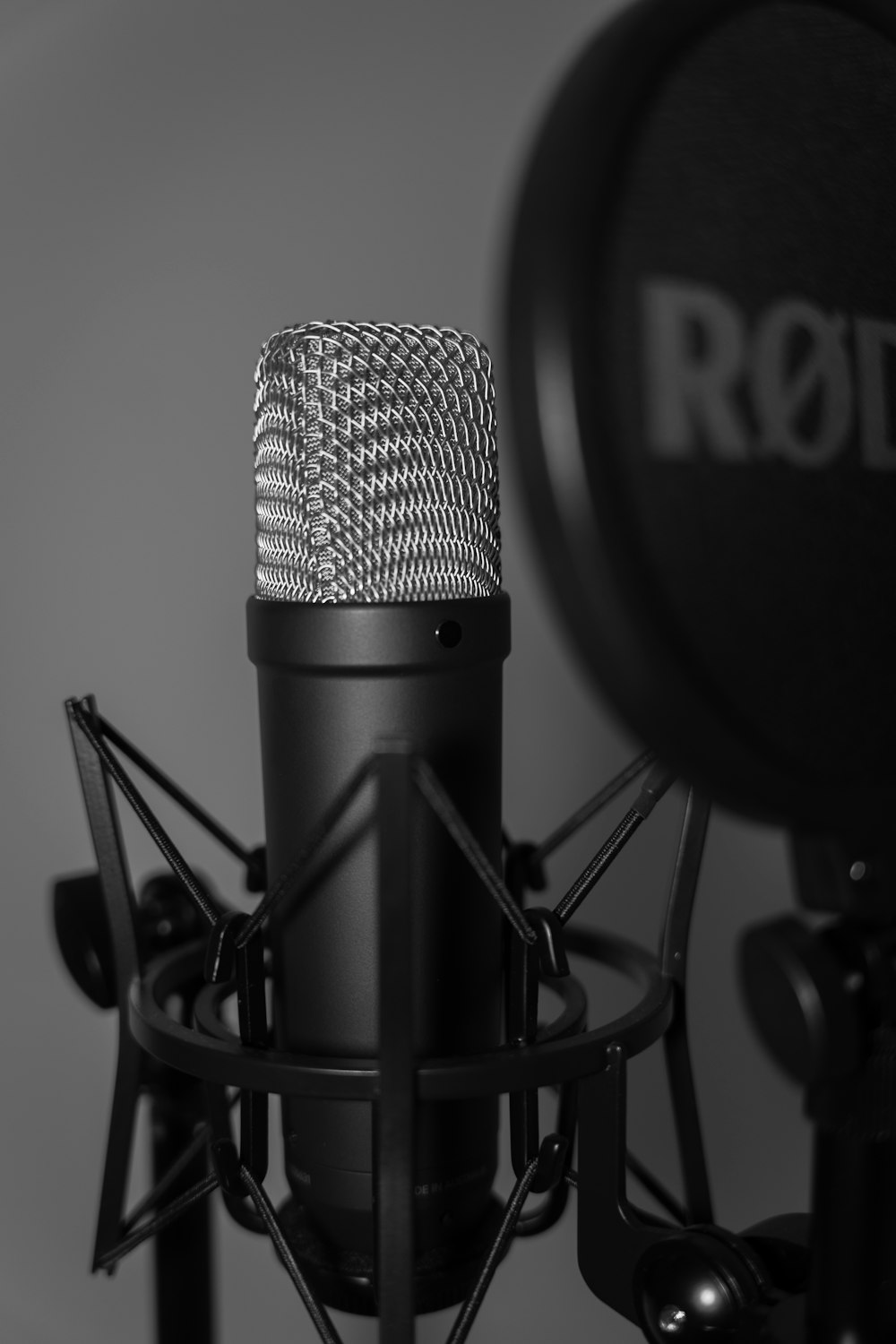 a black and white photo of a microphone