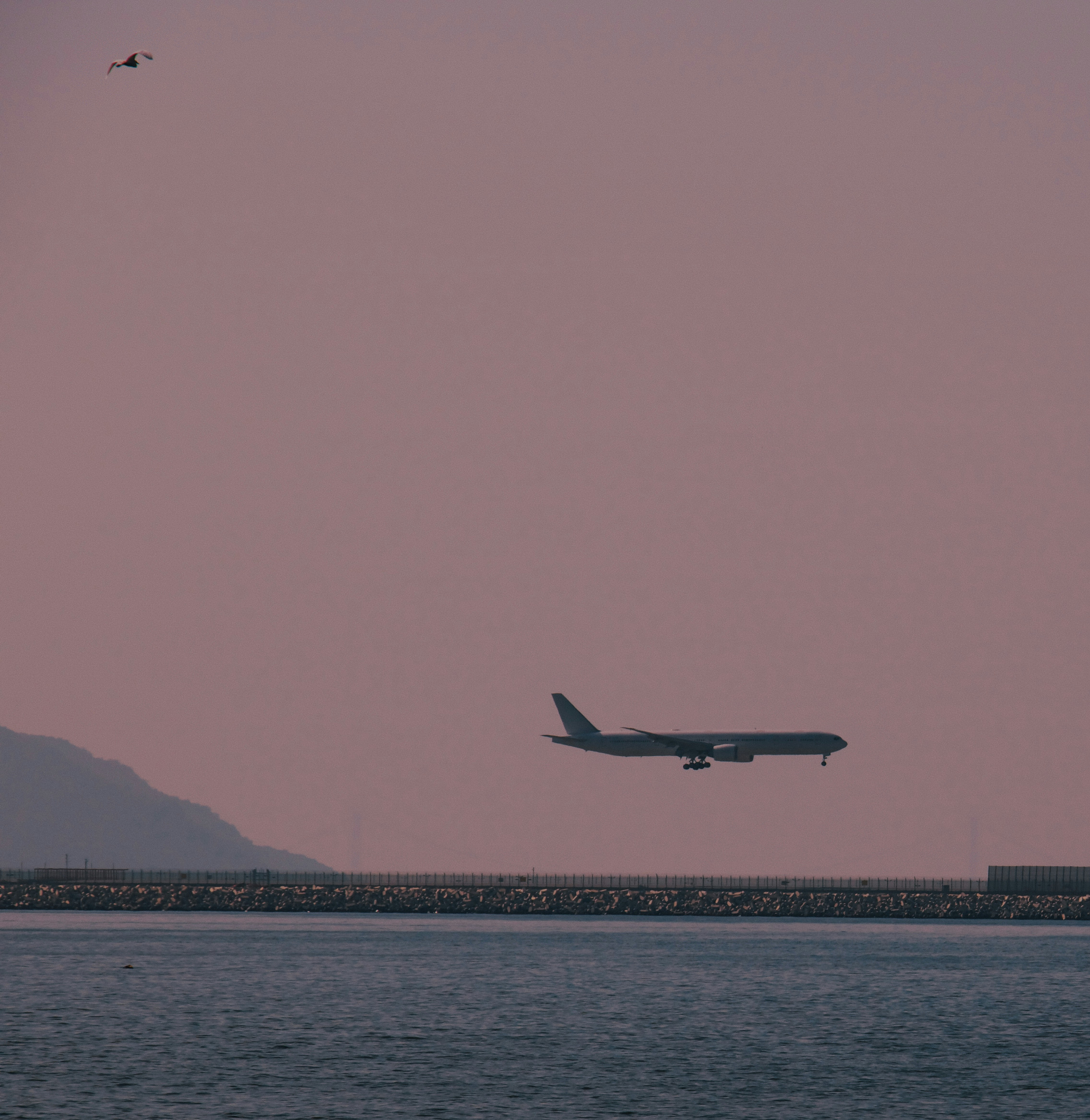 airplane