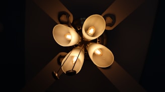 Five downward-facing light bulbs encased in frosted, bell-shaped glass holders form an elegant chandelier. The bulbs radiate a warm, golden glow, creating a cozy ambiance. The fixture's metal arms and hub are visible, providing structural support.