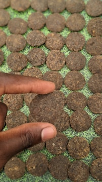 A hand holds one of many round, brown discs arranged in a grid pattern on a textured green surface. The discs have a rough, earthy appearance.