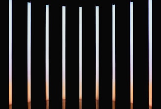 Background elements with beams and soft gradients in the facility.