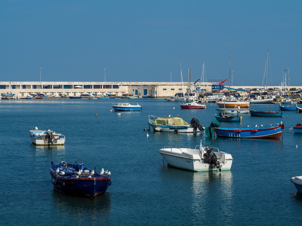 um grupo de barcos flutuando em cima de um corpo de água