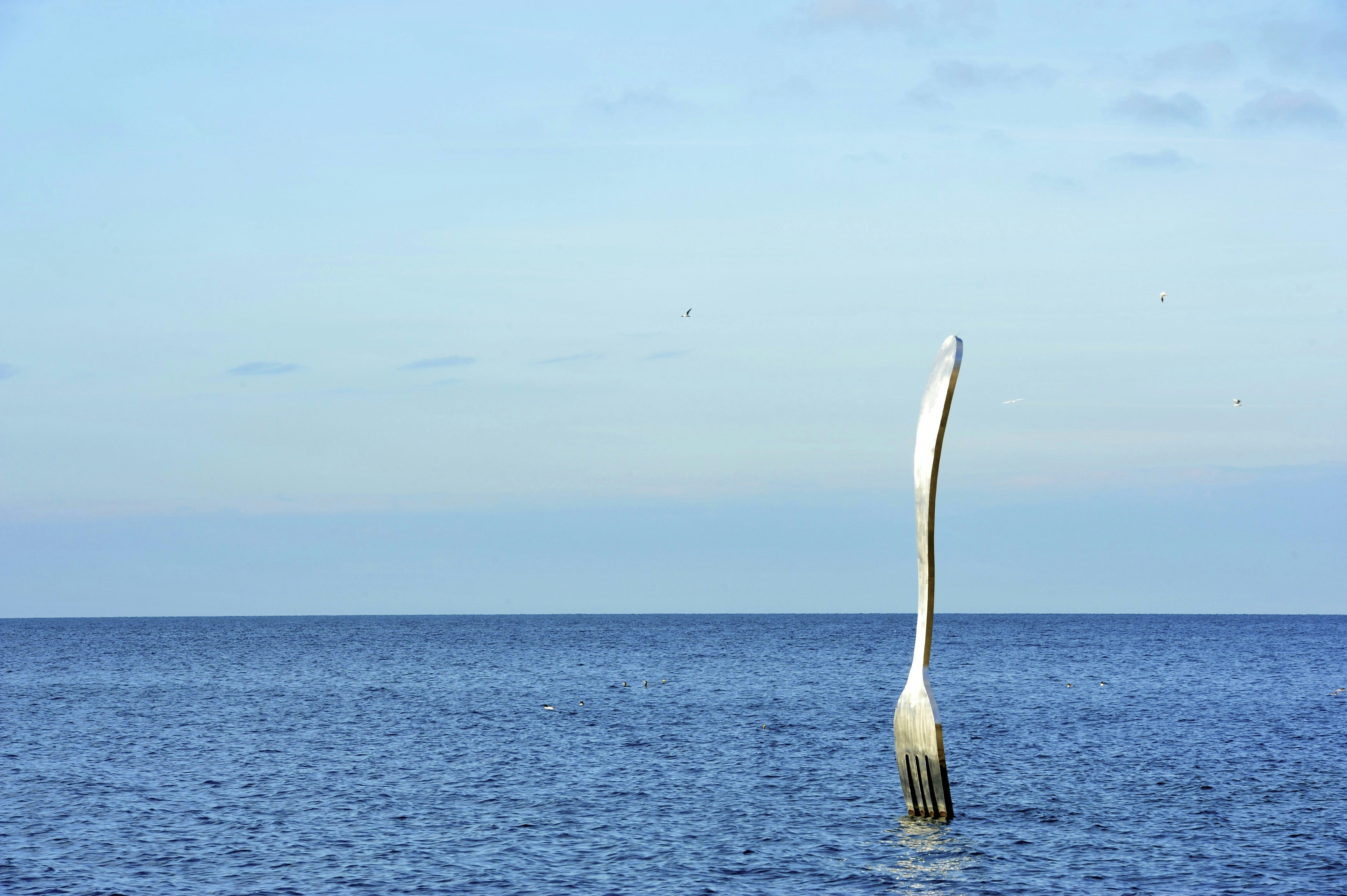 a fork sticking out of a body of water