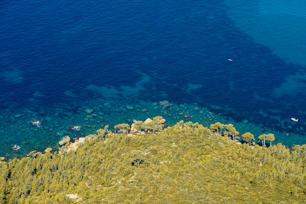 a large body of water surrounded by trees