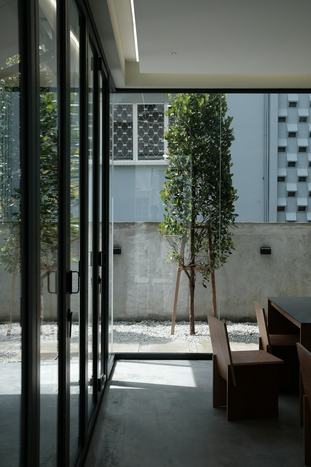 a room that has a bench and a tree in it