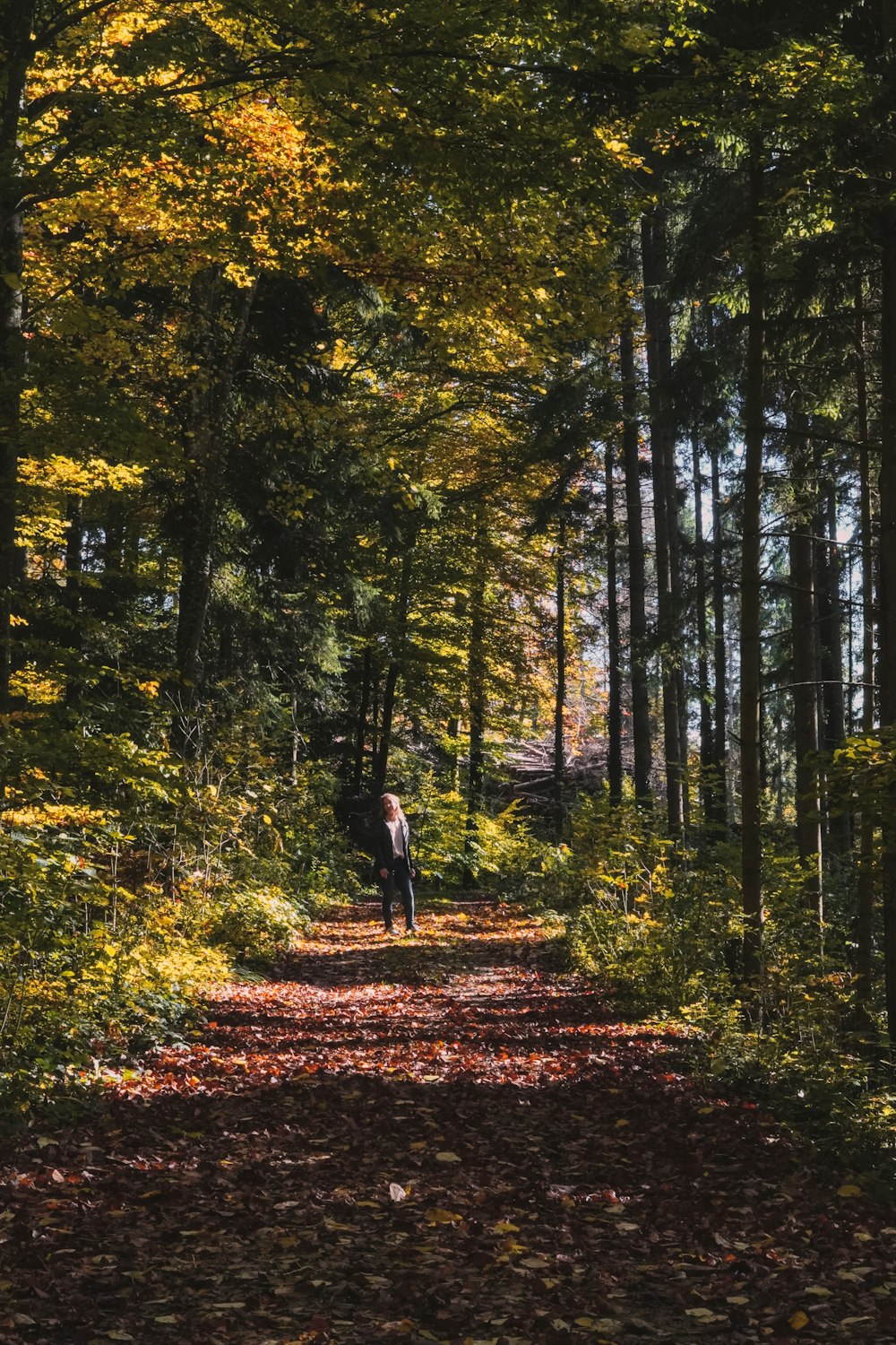 a person walking down a path in the woods