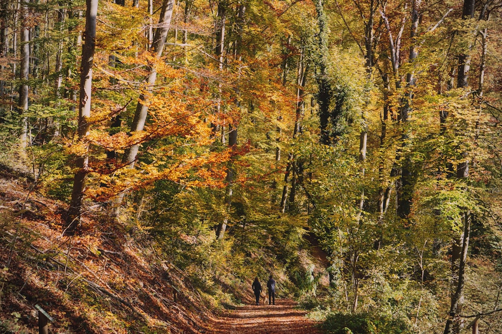 a couple of people walking down a dirt road