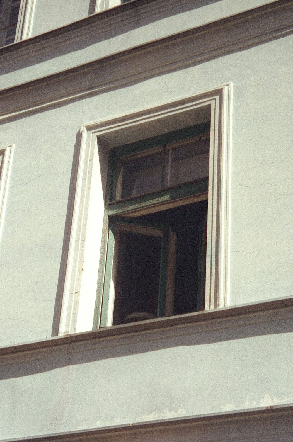 a bird is perched on the ledge of a building