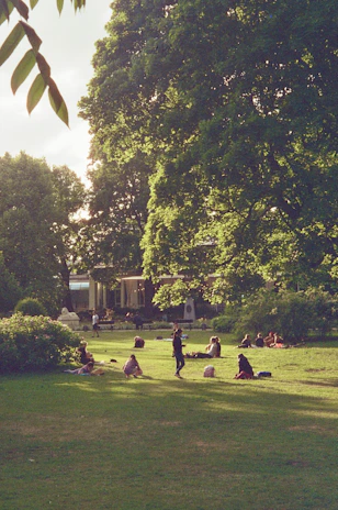 A warm gathering of diverse community members sharing stories in a sunlit park.