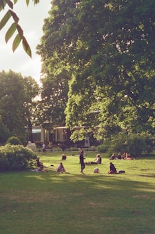 People are gathered in a lush, green park under the shade of tall trees. Some are sitting on the grass, relaxing and socializing, while others are walking around. Sunlight filters through the leaves, illuminating the scene with a gentle, warm glow. In the background, there is a building partially visible.