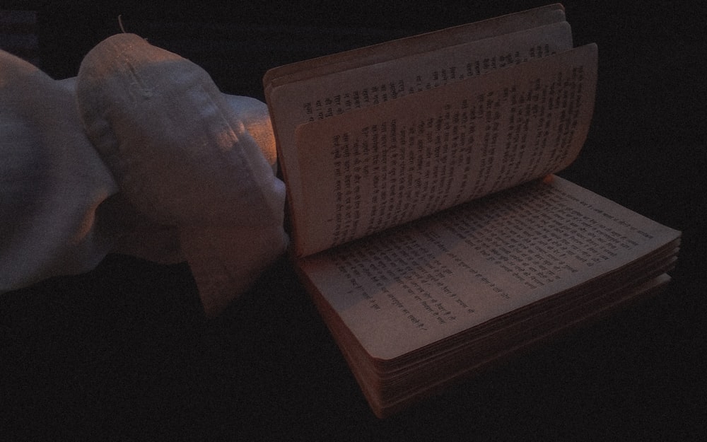 a person holding a book in their hand