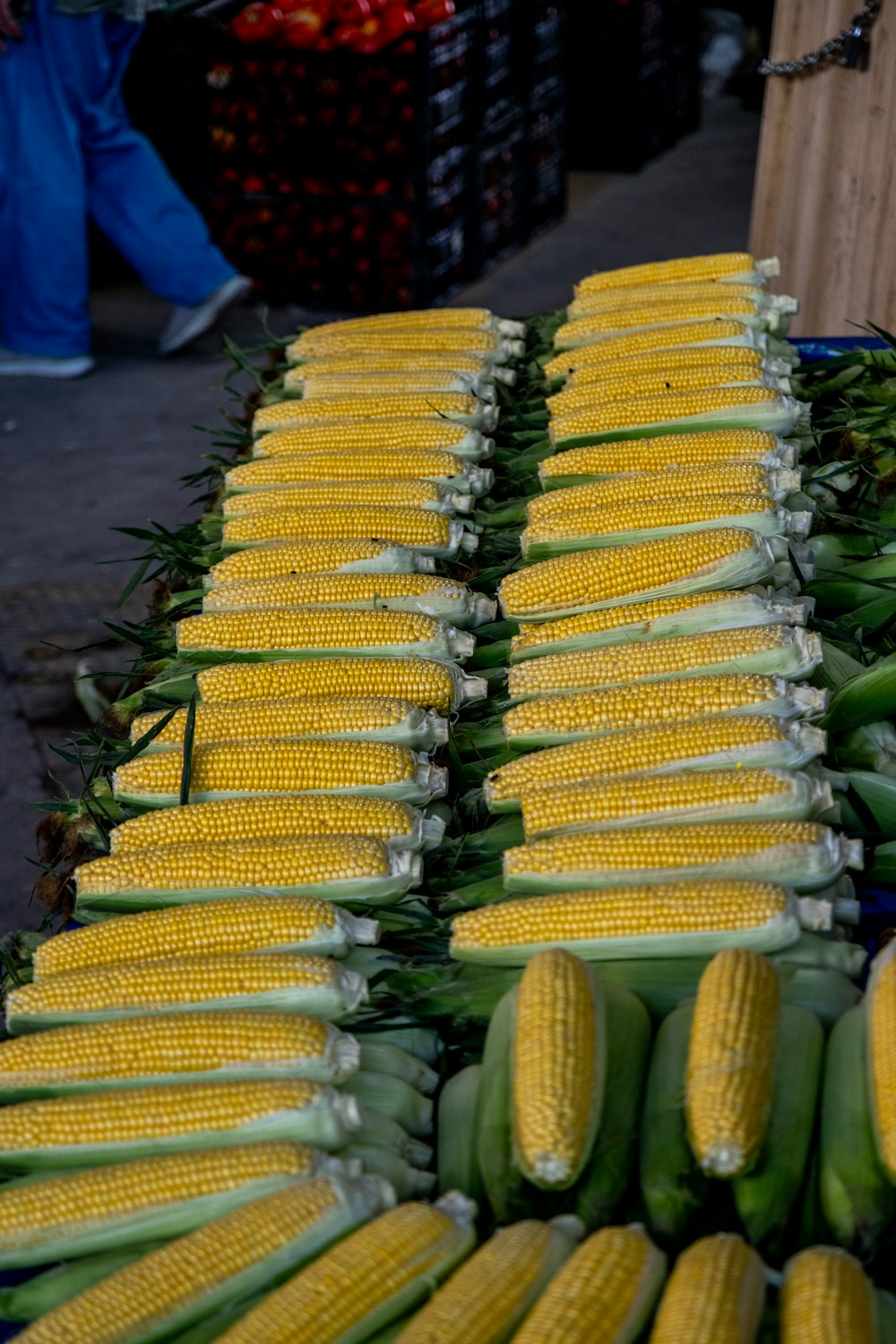 a bunch of corn sitting on top of a table