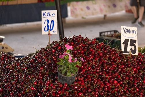 A large pile of red cherries with a potted plant having pink flowers placed on top. Two signs indicating the prices are visible, one reading 'Kilo 30 TL' and the other 'Yarim 15 TL'. The background includes part of a market setup with more produce and indistinct figures of people.