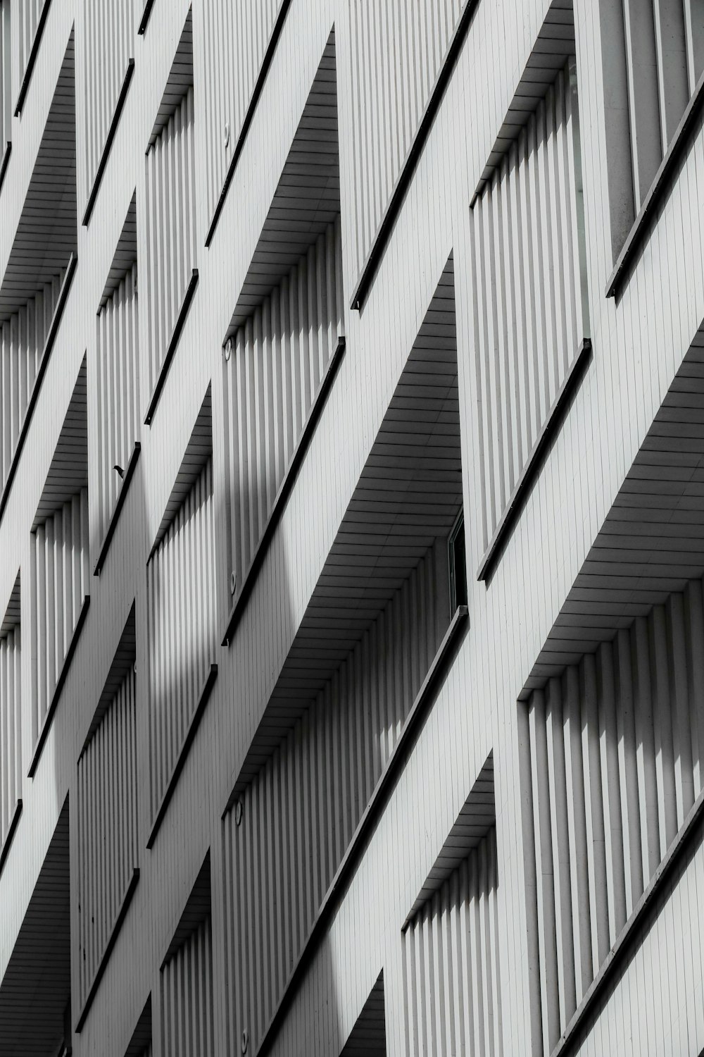 a black and white photo of a building with shutters