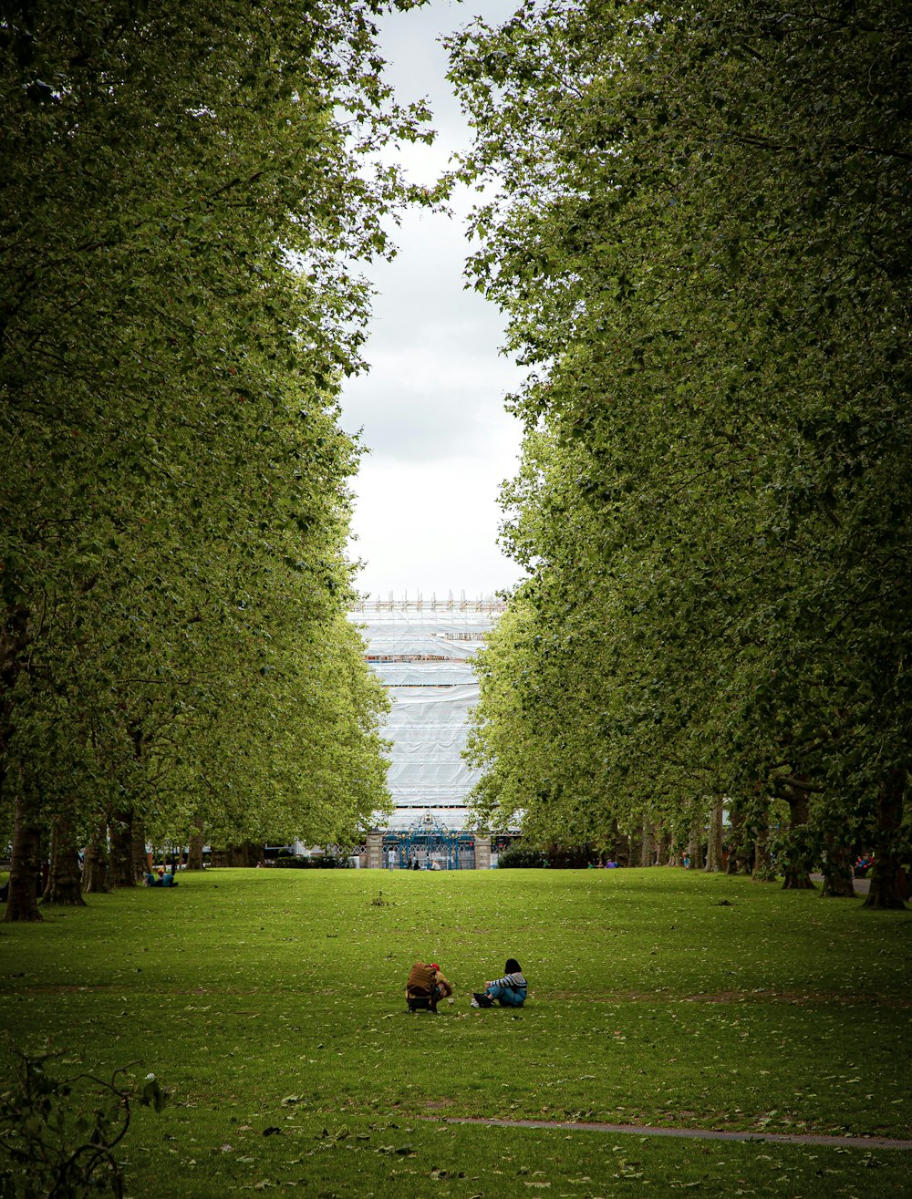 a couple of people sitting on top of a lush green field