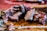 Cuts of fresh, high-quality meats arranged neatly on a wooden cutting board.