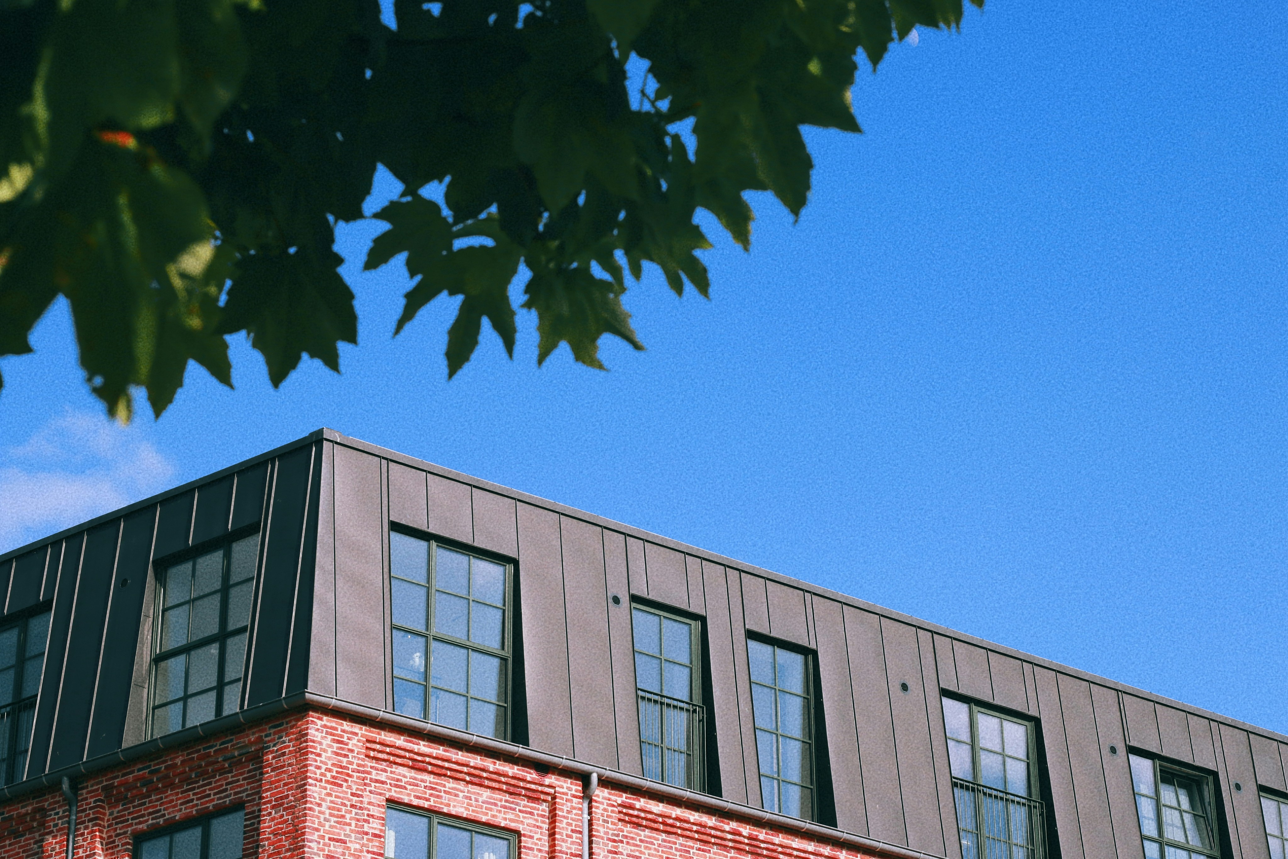 Photo by thuankaylias