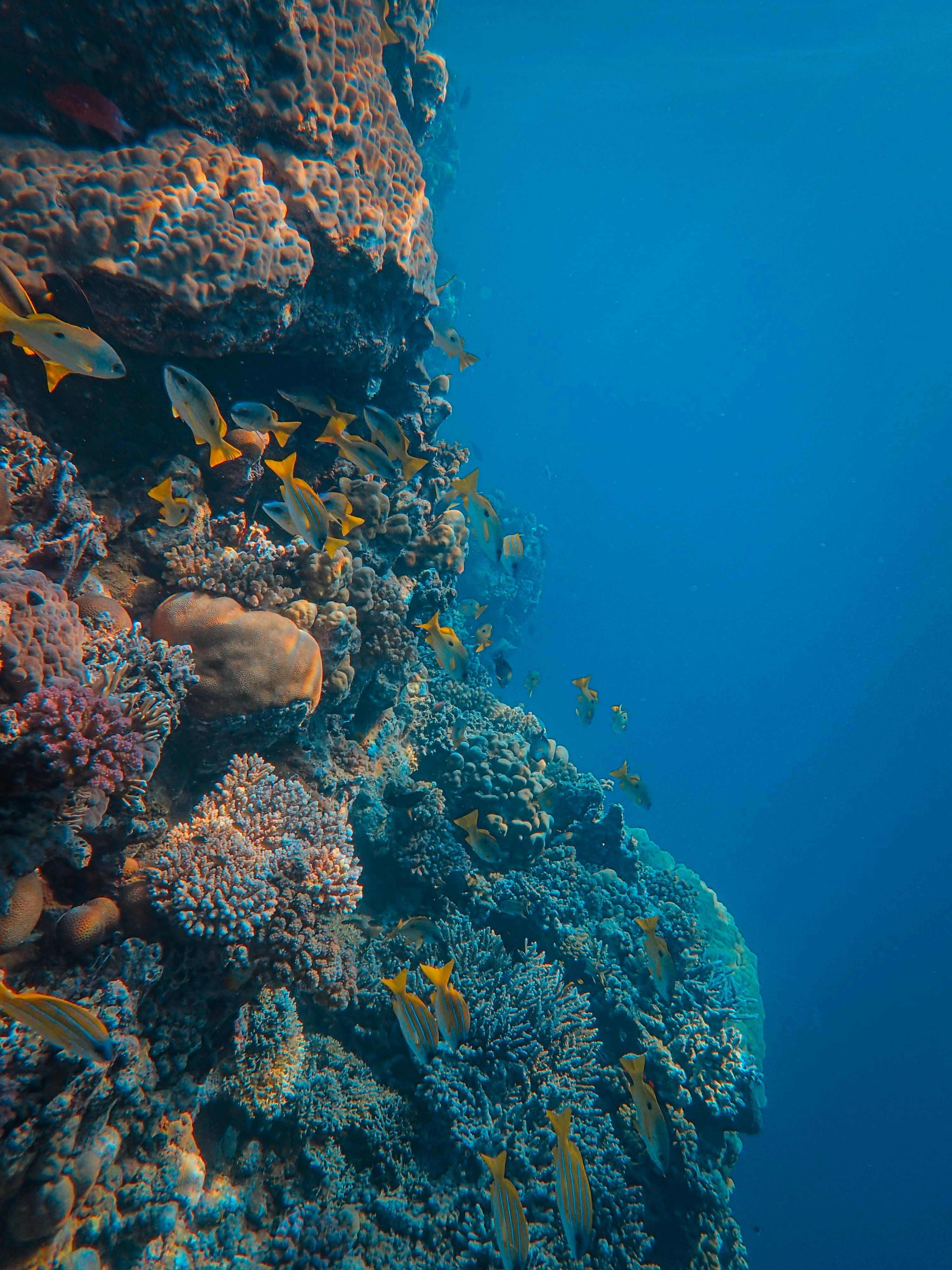 Photo by francesco_ungaro