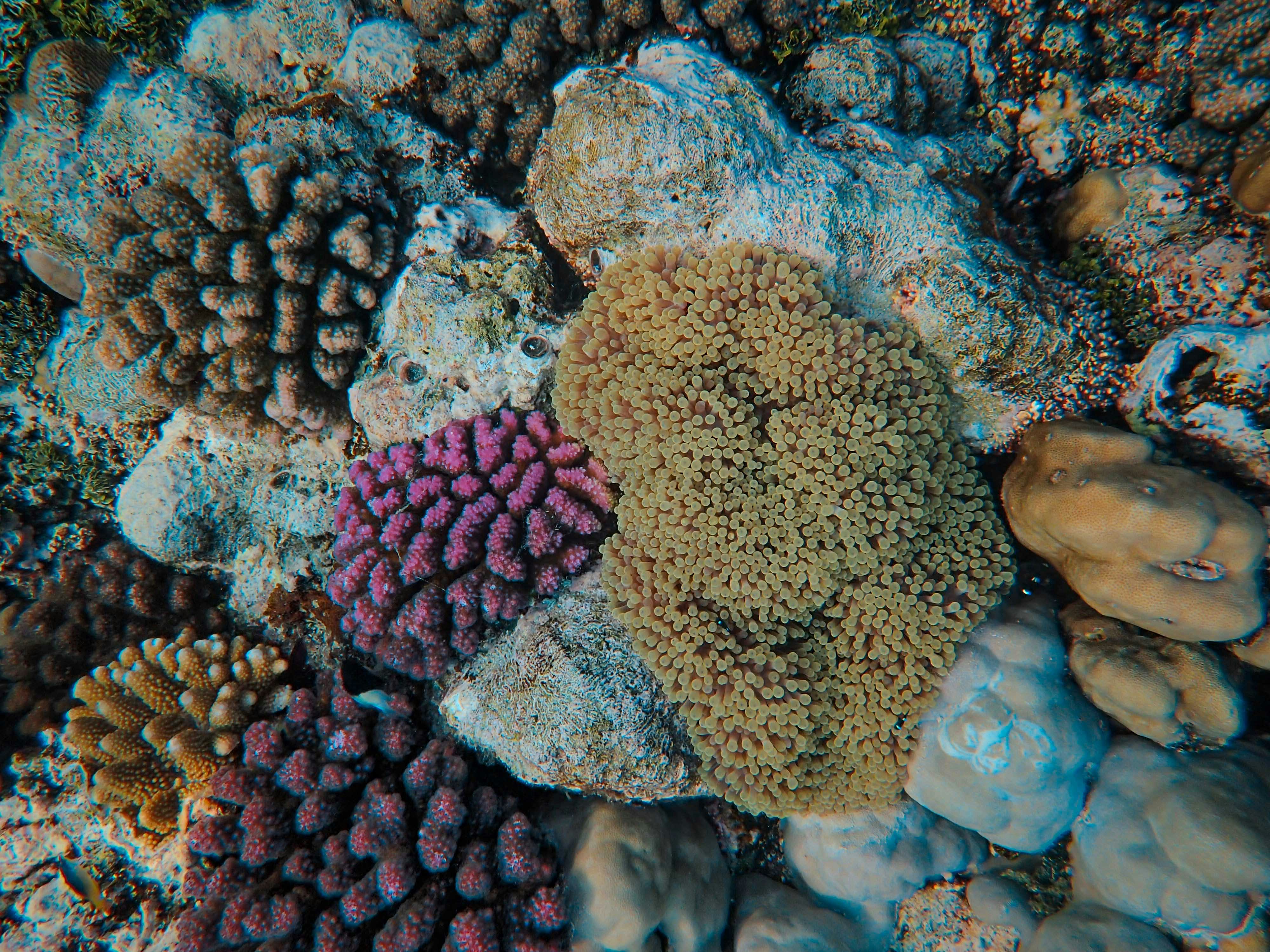 Photo by francesco_ungaro