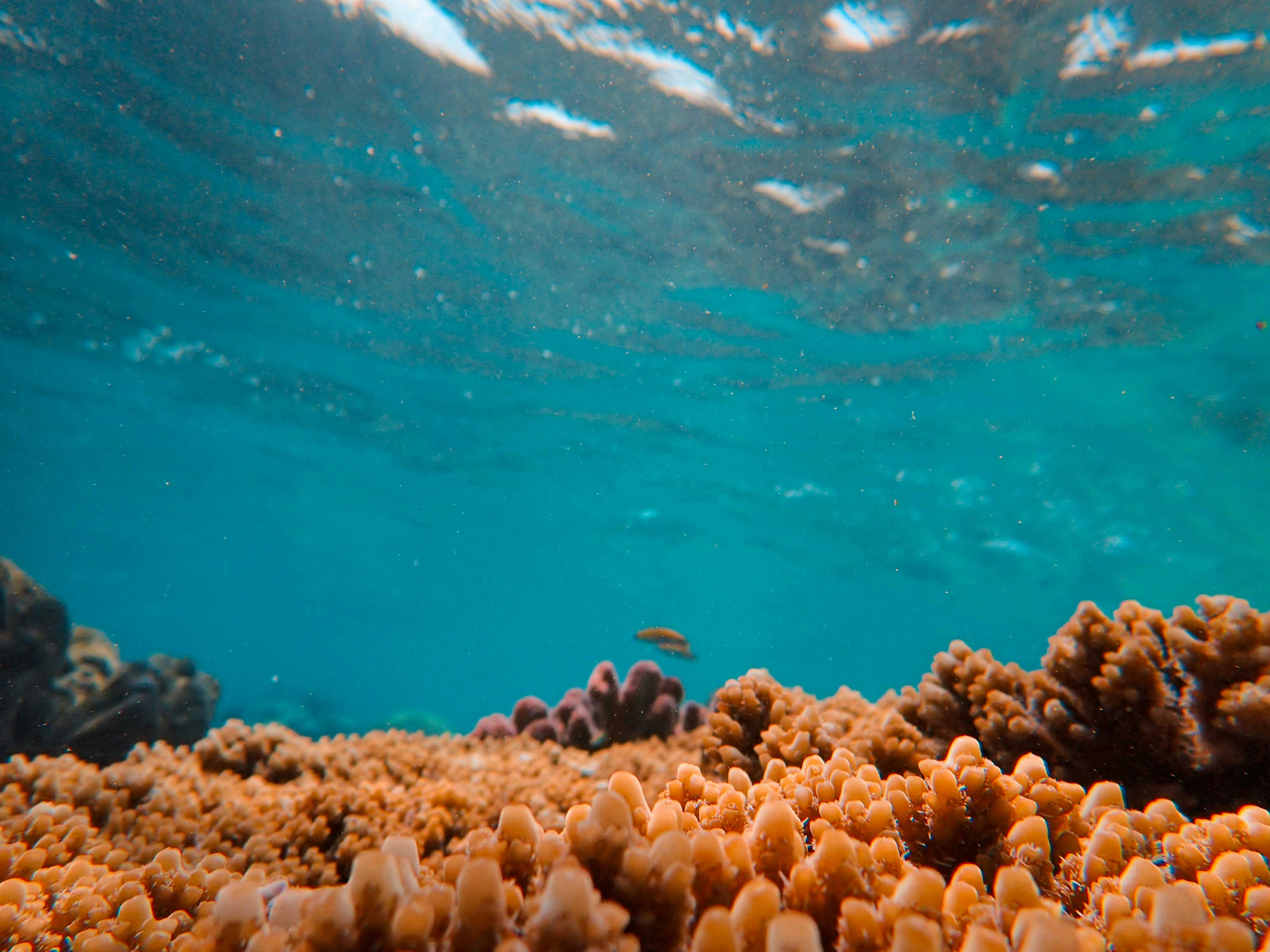 Photo by francesco_ungaro