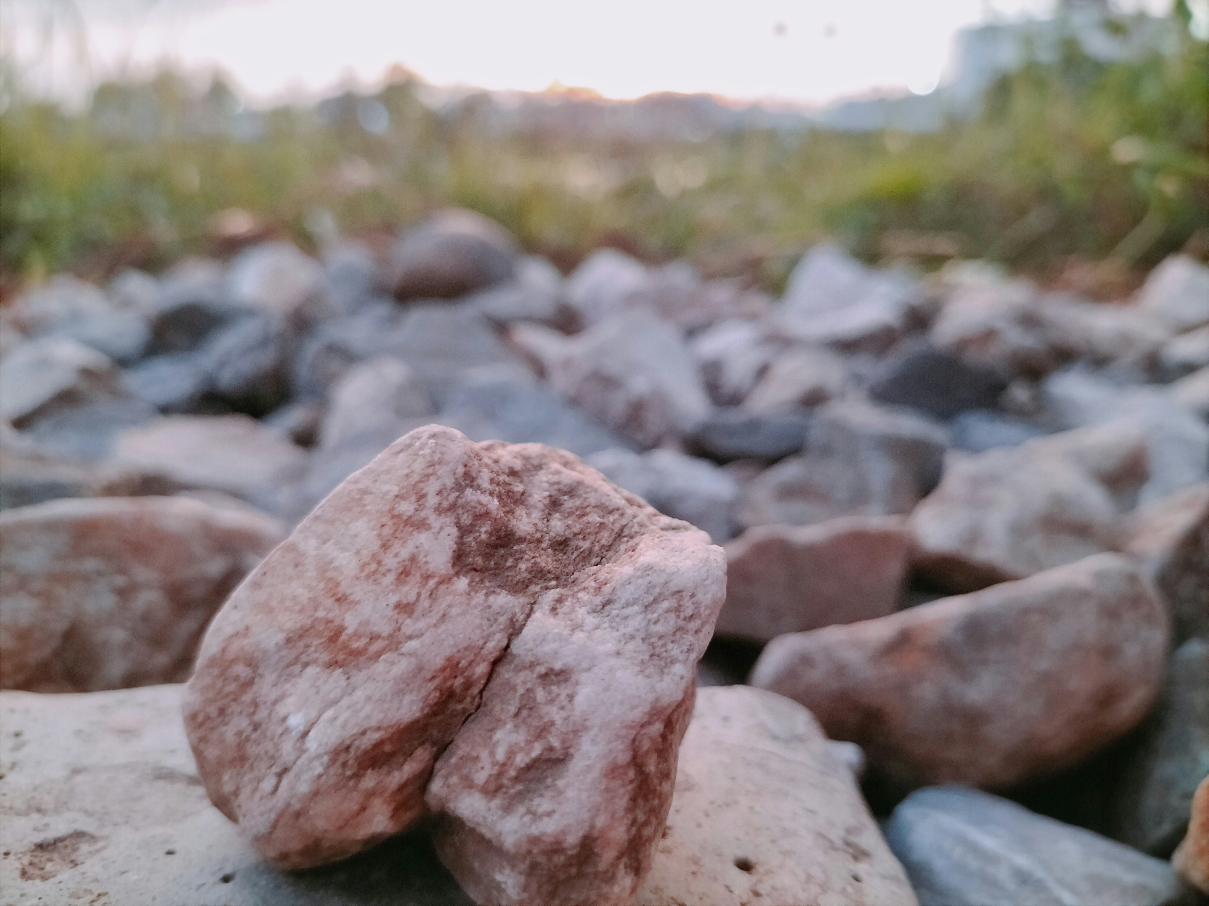 a close up of some rocks and grass