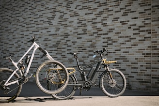 Bright bicycles lined up outdoors on a sunny day.