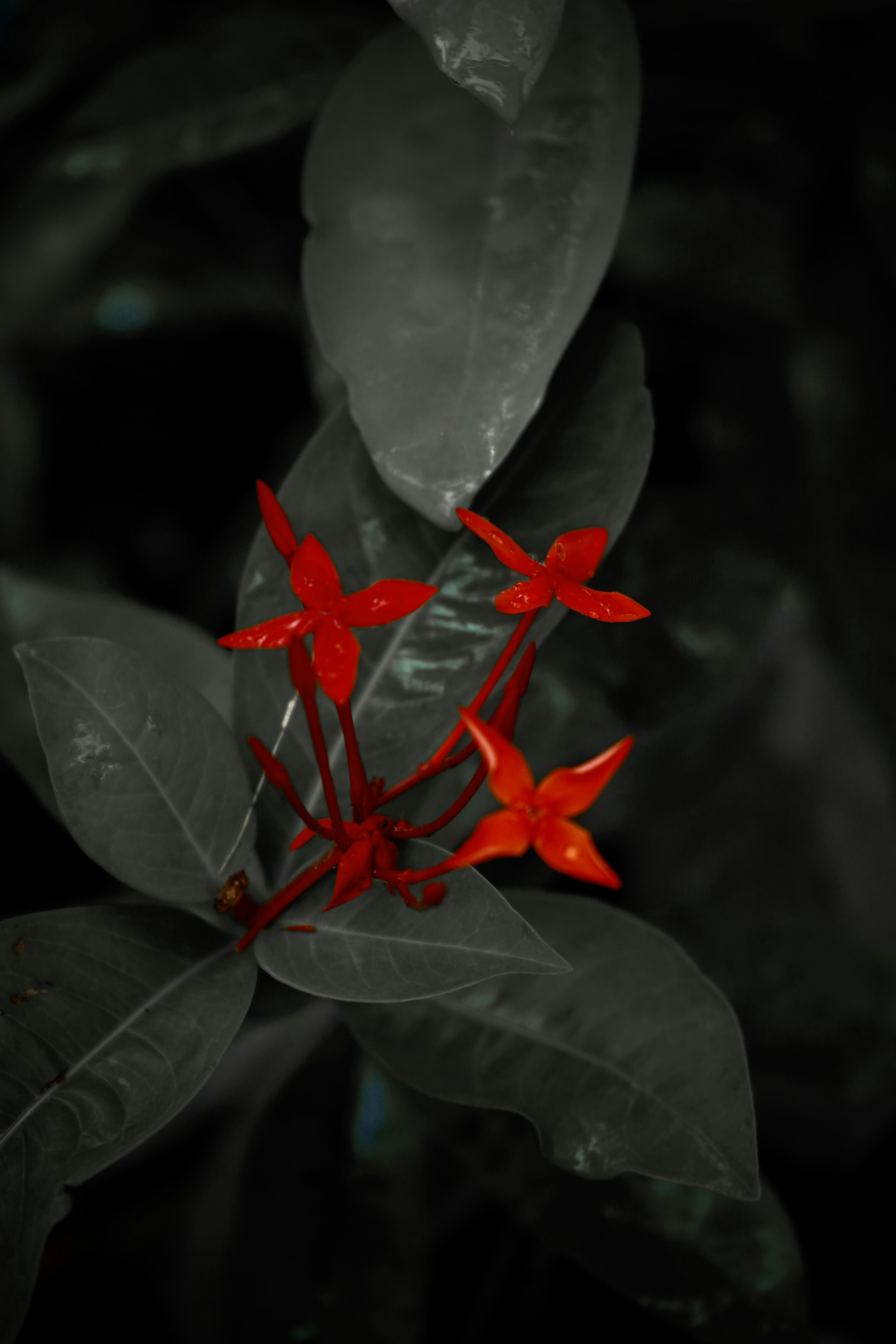 Photo by dhruva15
